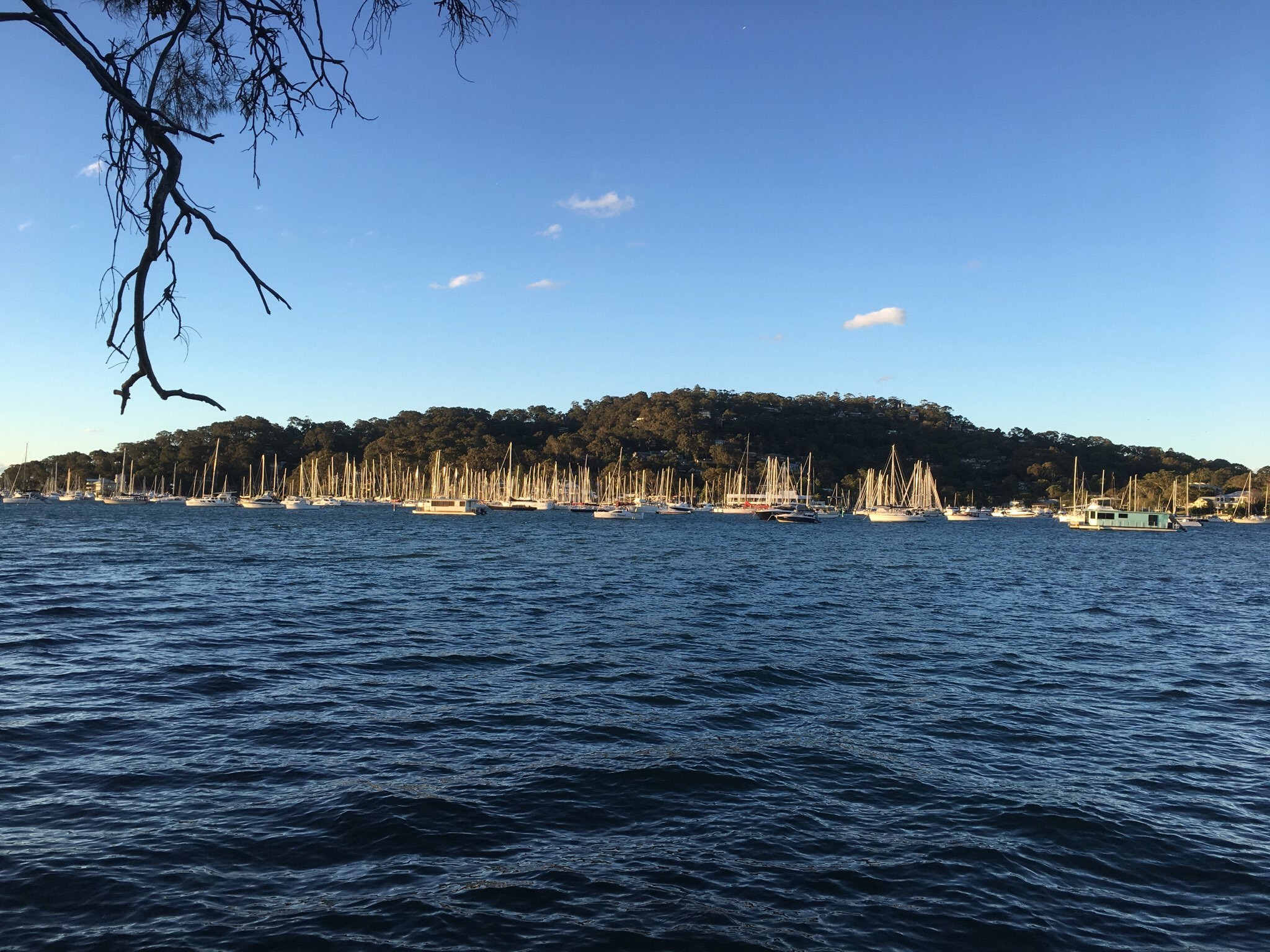 Tour Named: 29 May 2019 at 3:15 pm