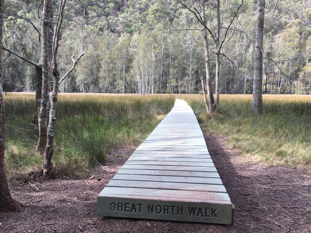 Beautiful Berowra Loop Track