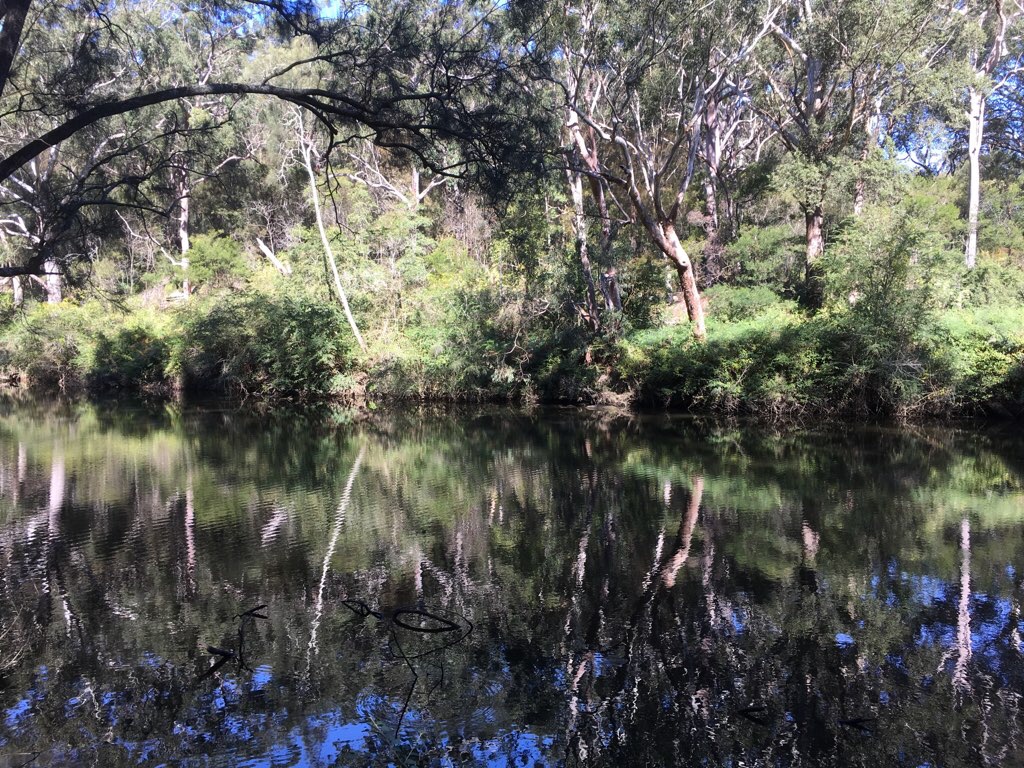 Lane Cove National Park Loop