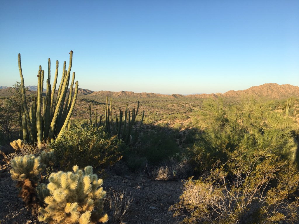 Desert View Trail