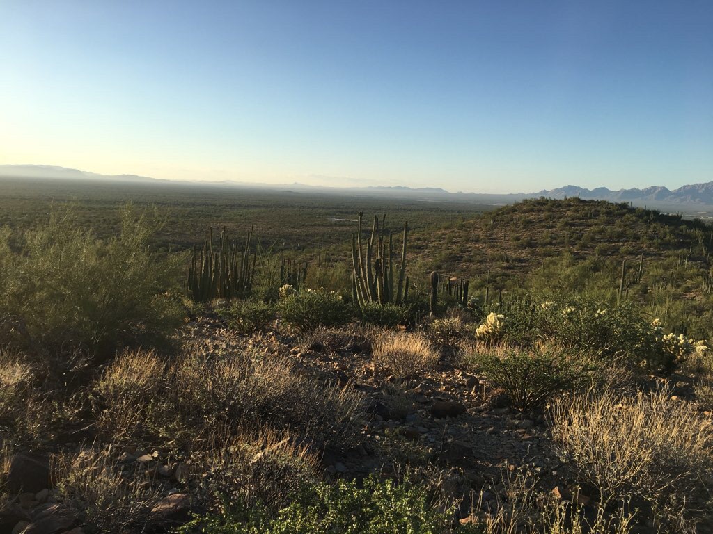 Desert View Trail