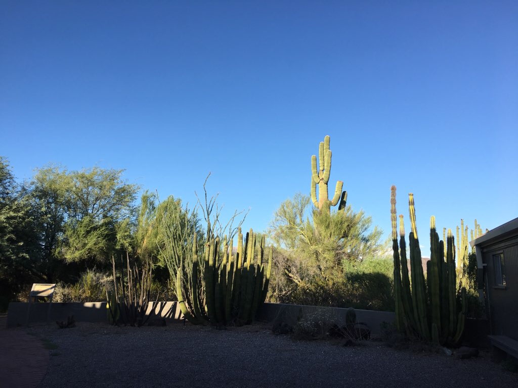 Visitor Centre Trail