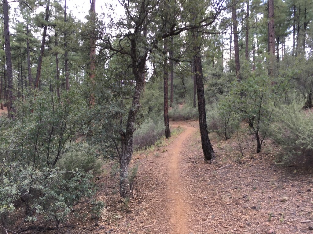 Hilltop Campste Prescott Forest