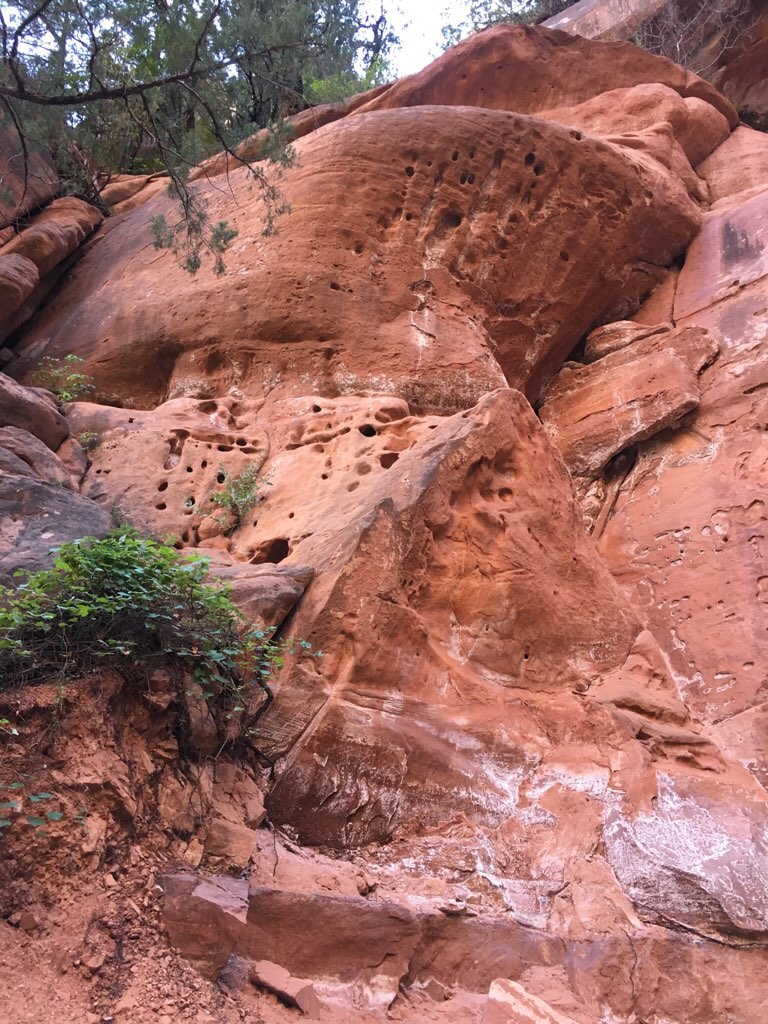 Emerald Pool Trail