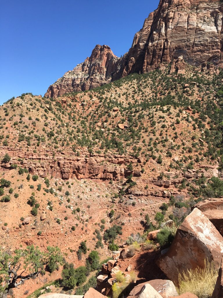 Watchman Trail Zion NP