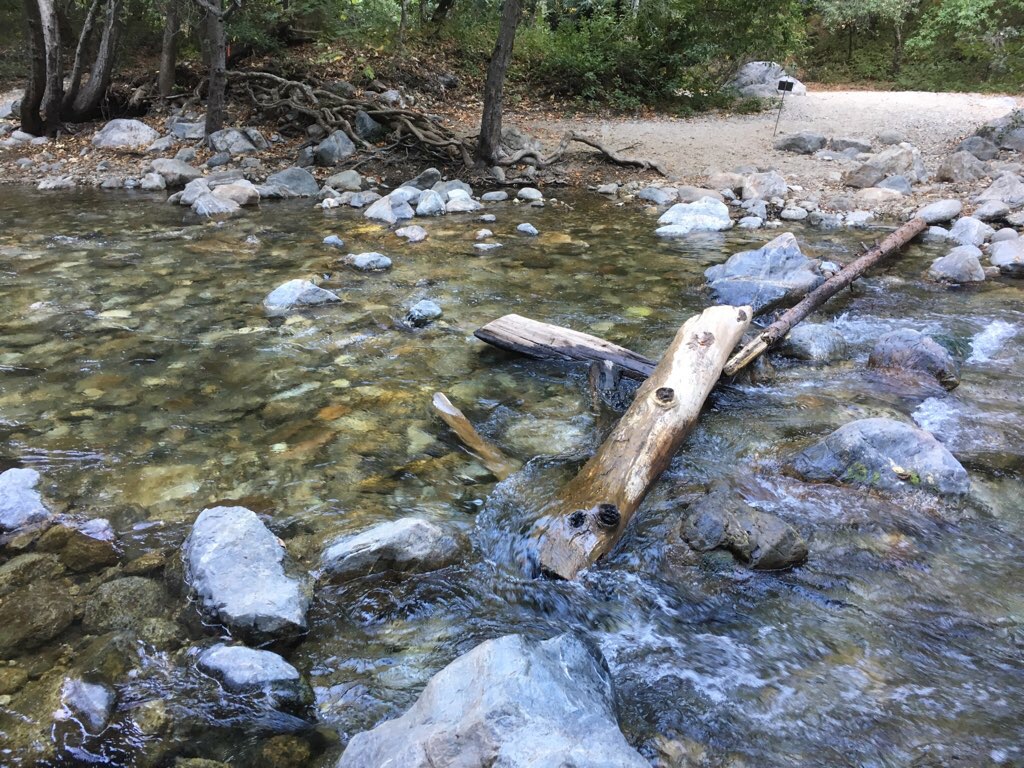 Pfeiffer Big Sur