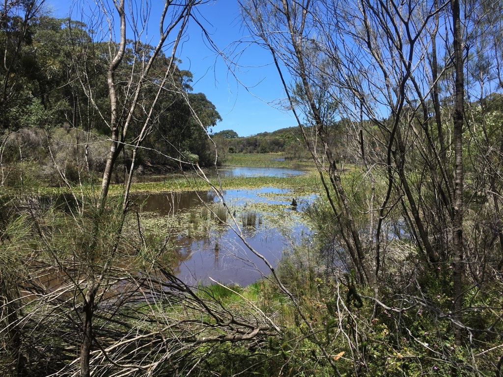 Aquatic Centre to Manly Dam