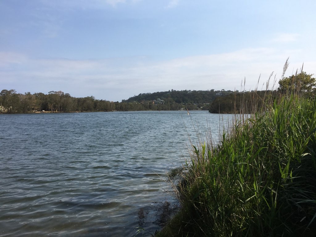 Narrabeen Lake