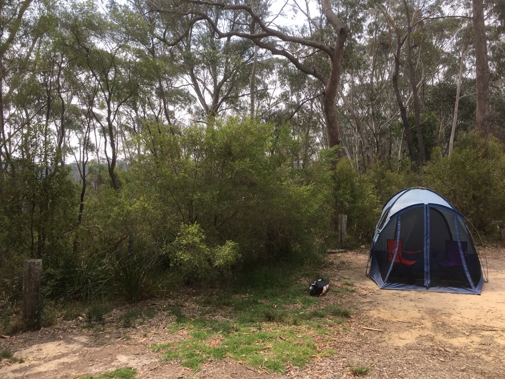 Carrington Falls Part 1