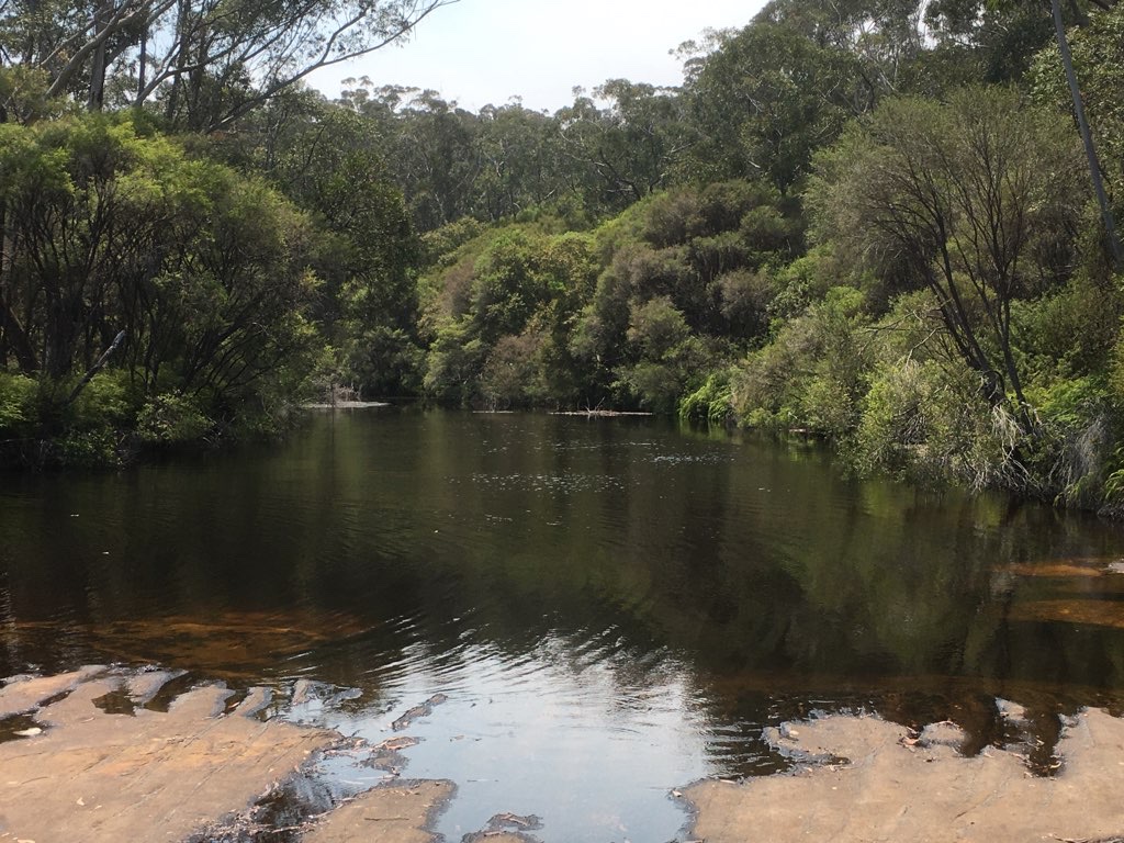 Carrington Falls Loop