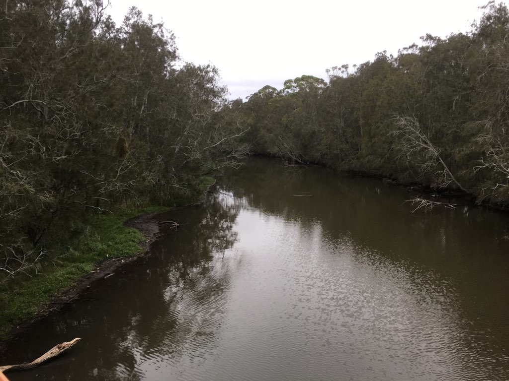 Narrabeen Lake South