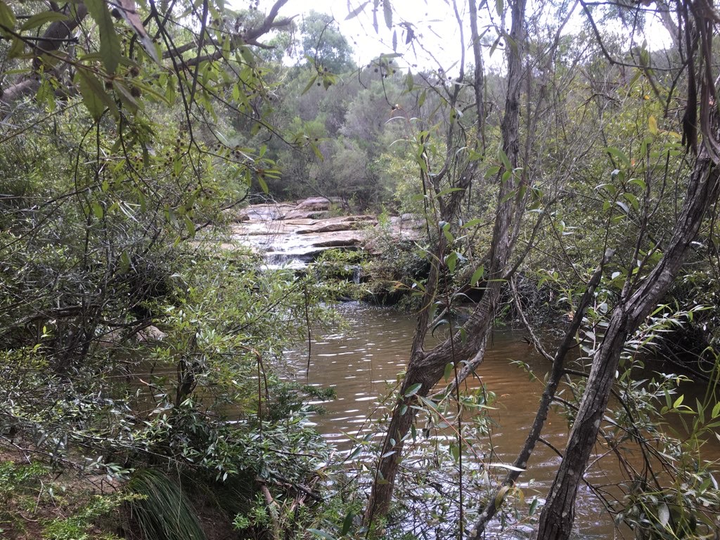 Circumnavigating Manly Dam