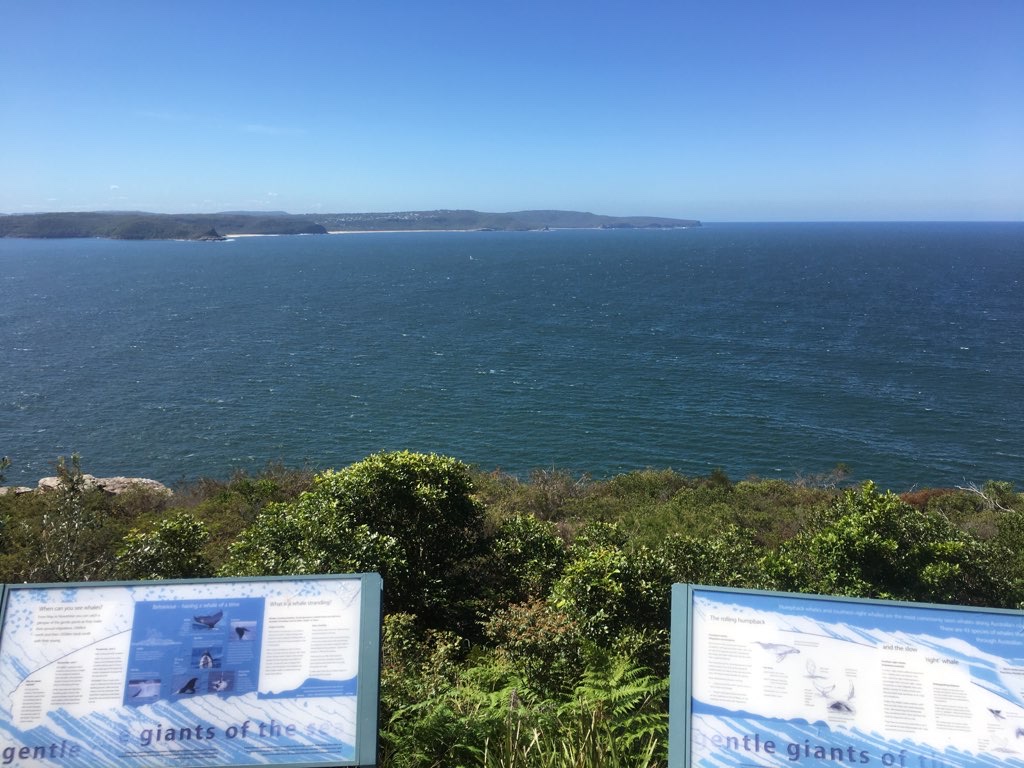 Palm Beach and Barrenjoey