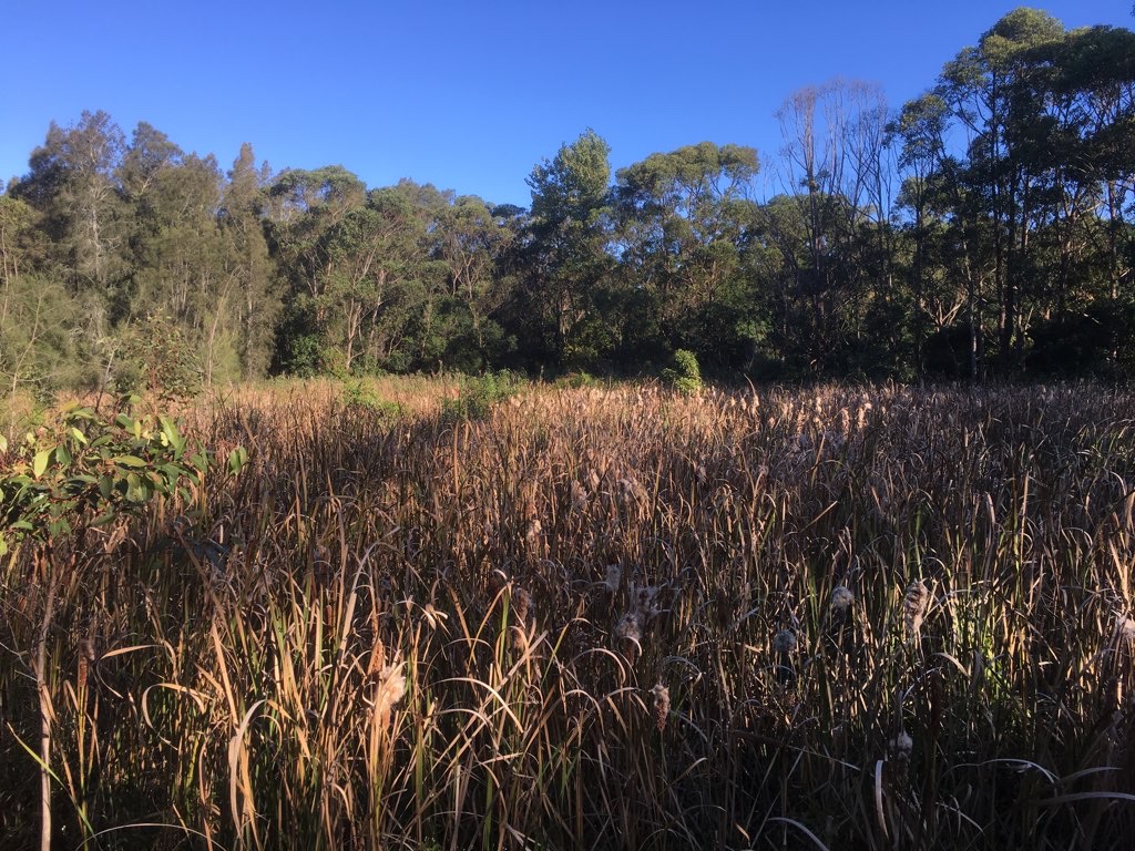 Around the Wetlands