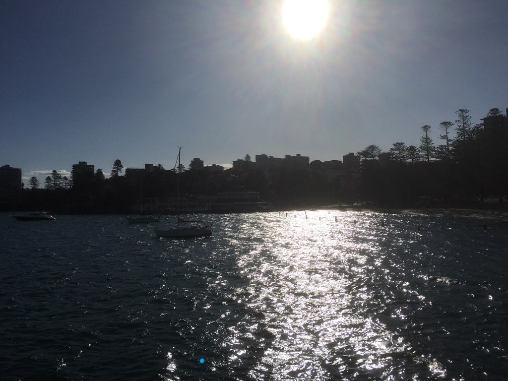 Manly Ferry