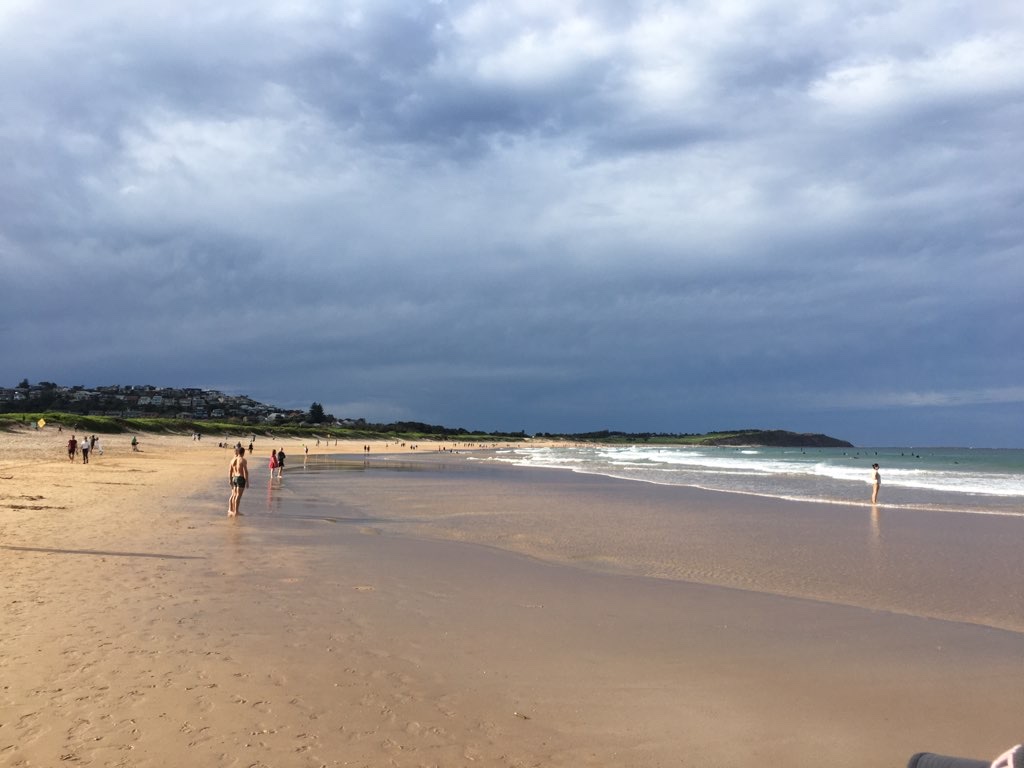 long reef to dee why