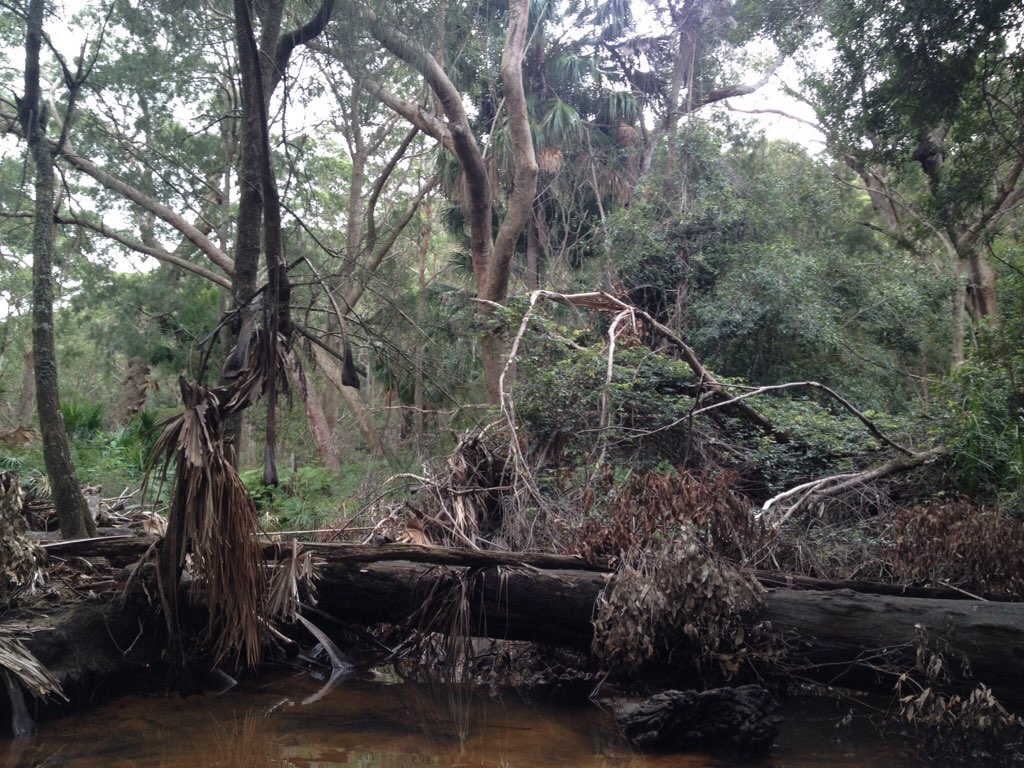 Middle Creek Reserve to Middle Creek
