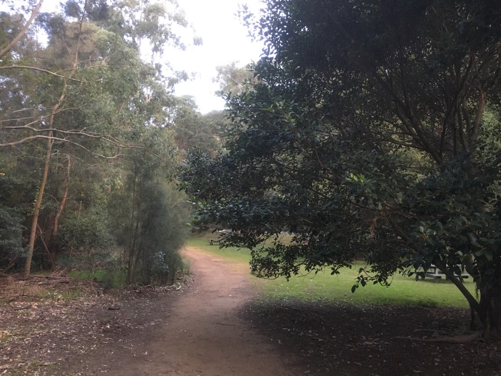 Lane Cove NP