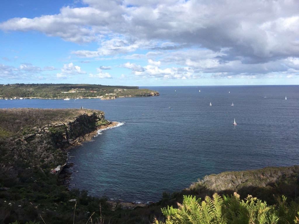 Spit Bridge to Manly as the Drone Flies!