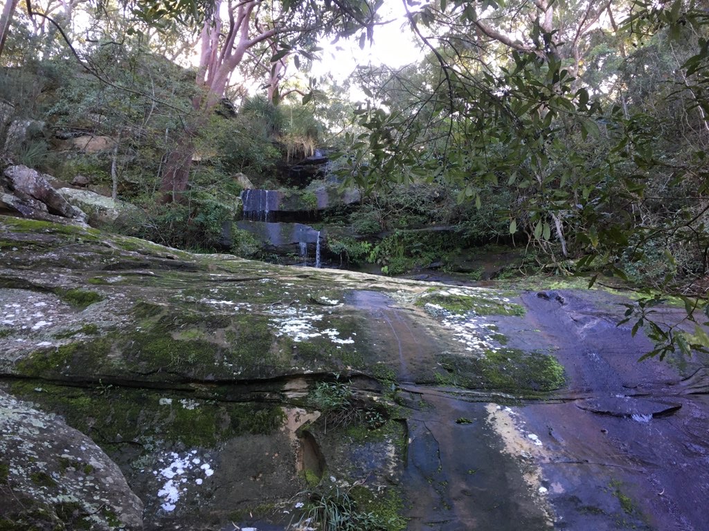 Middle Harbour Loop