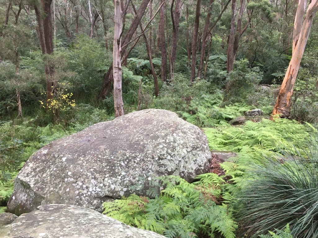 Georges River