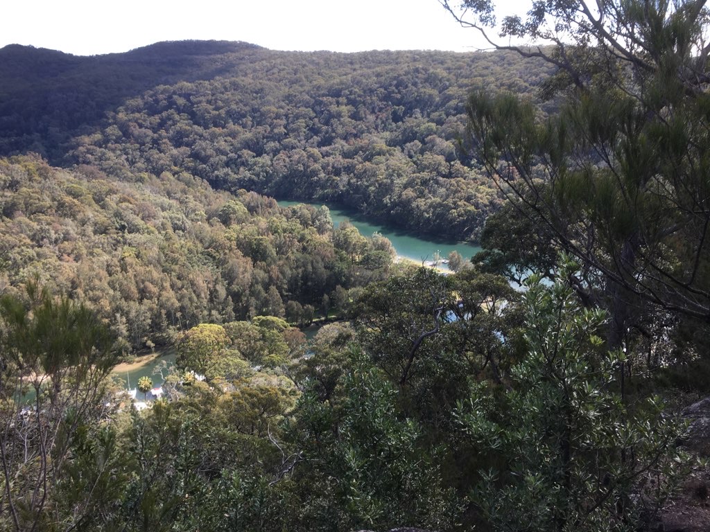 Ingleside Bush Walk