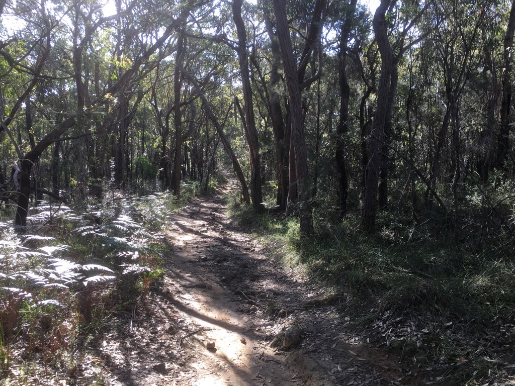 Long Trail