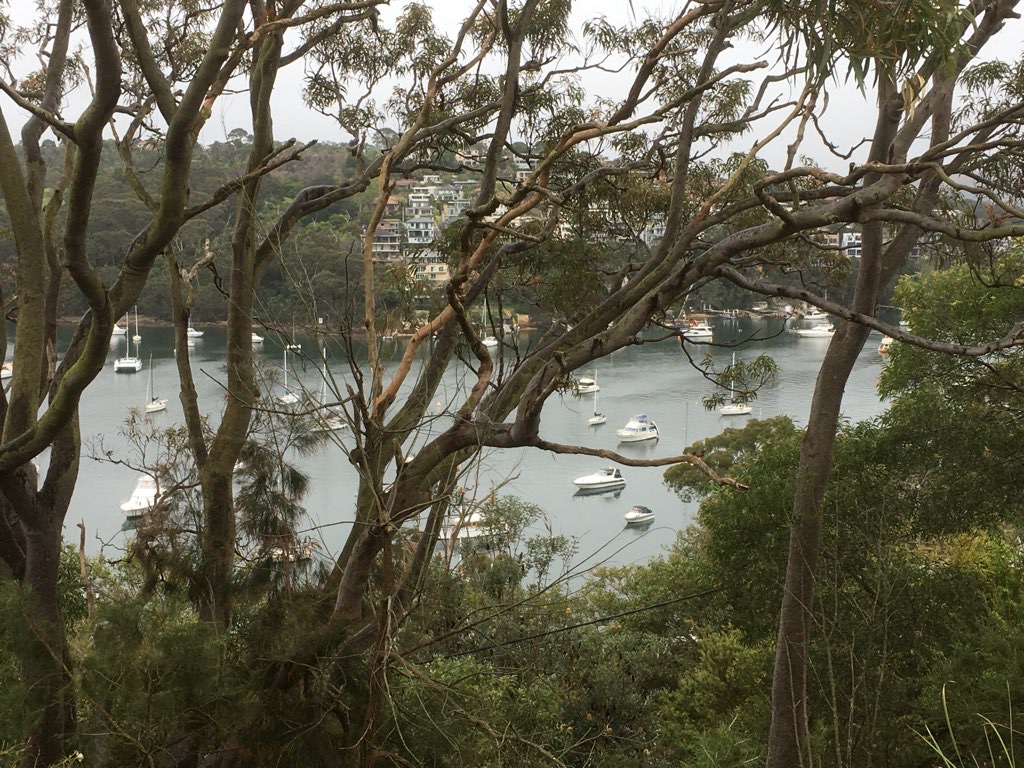 Mosman Back Roads