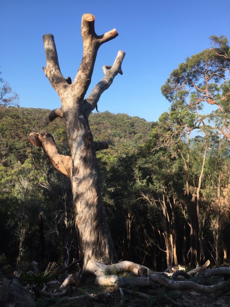 Another west head circuit