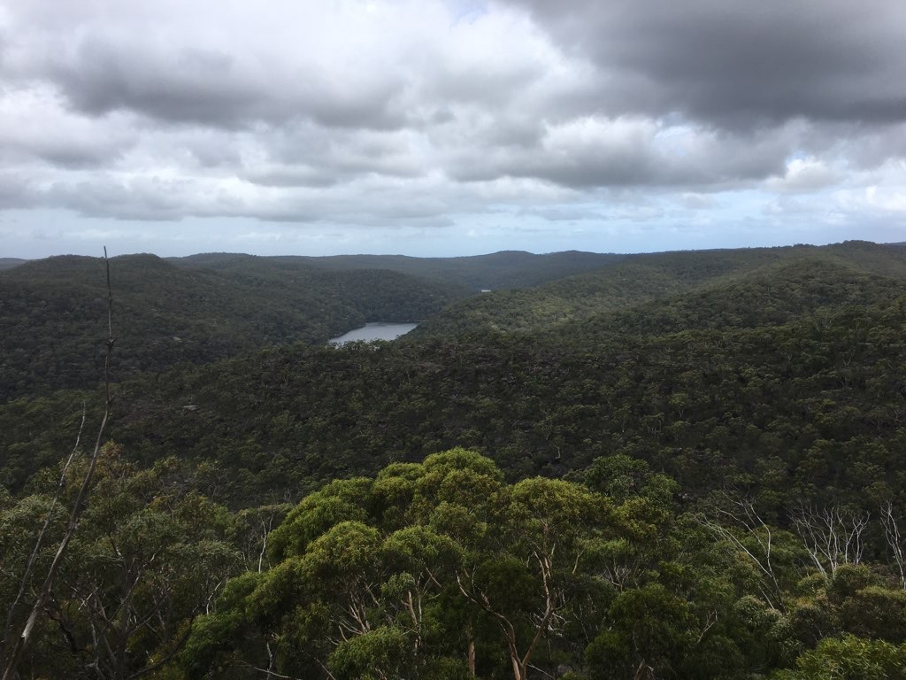 Lookouts Near Cottage Point