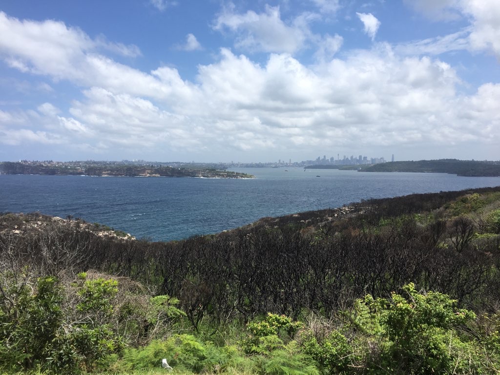 North Head and a trip to Bunnings