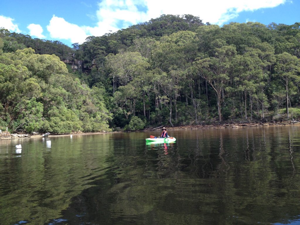 Elvina and Lovett Bays from Bayview