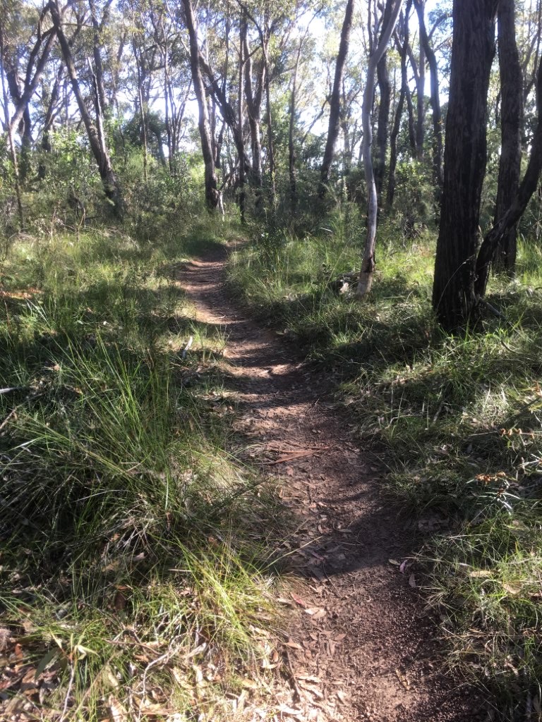 Hotspot name: number 1