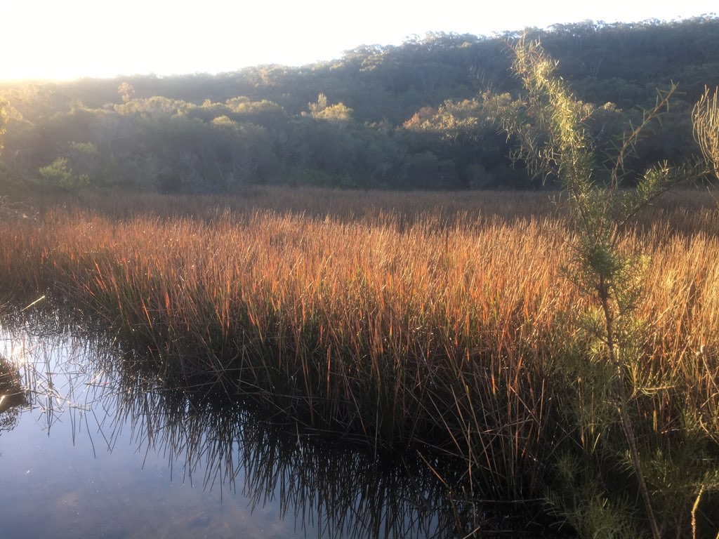 Deep Creek Loop