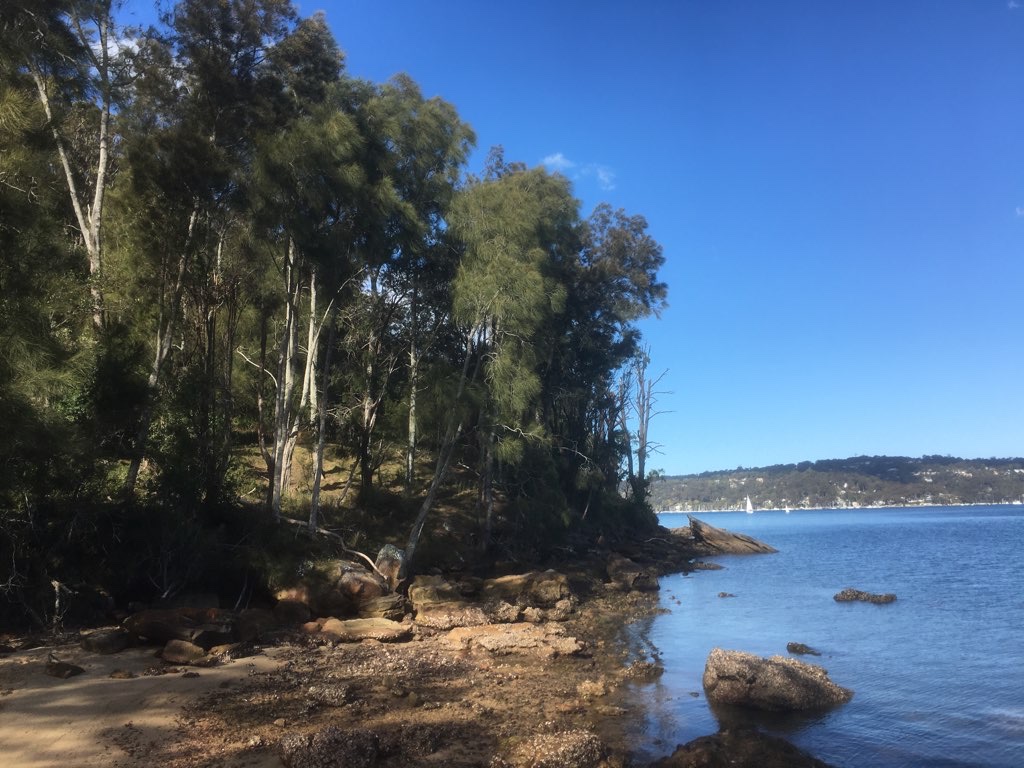 Morning Bay