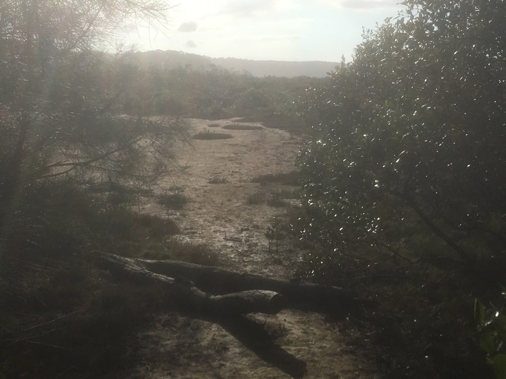 Careel Bay