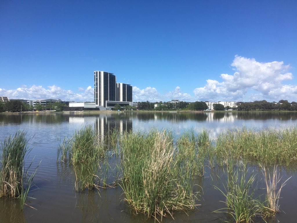 Lake Ginninderra