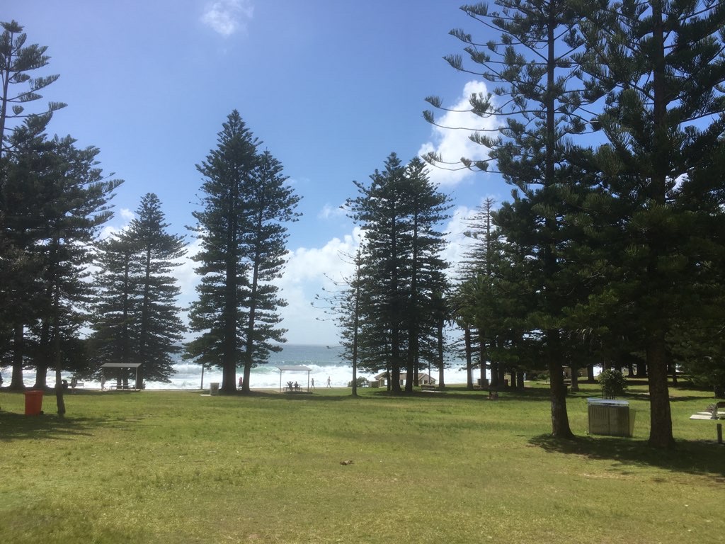 Cronulla Beach