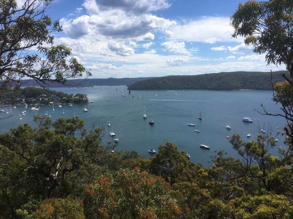 Whale Beach high counrty