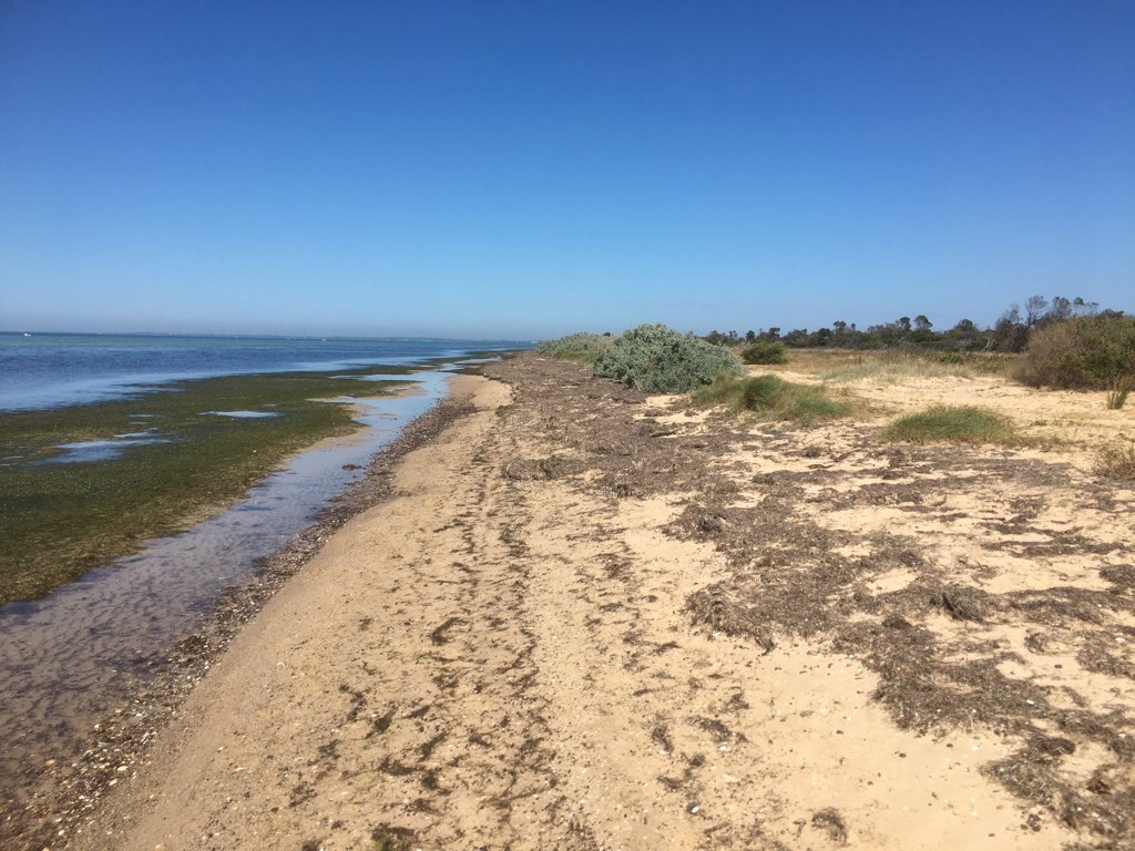 Edwards Point Wildlife Reserve