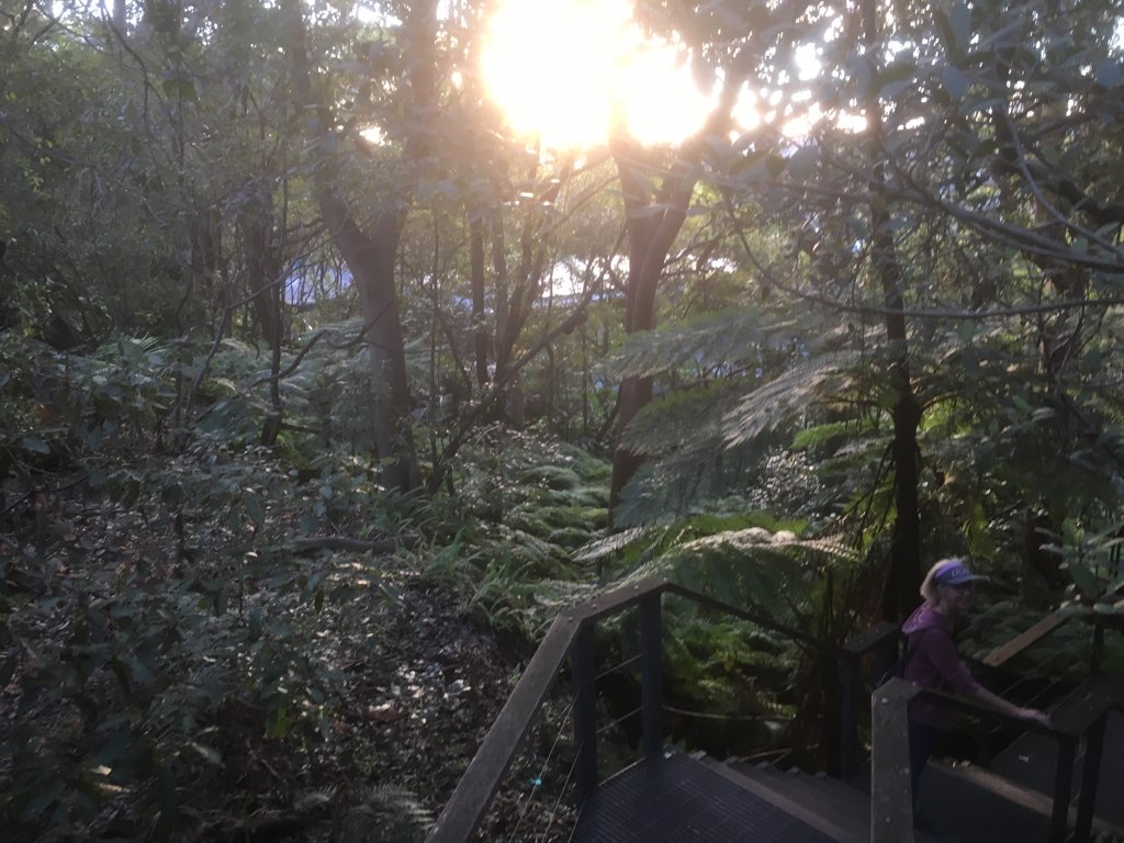 Balmoral Loop