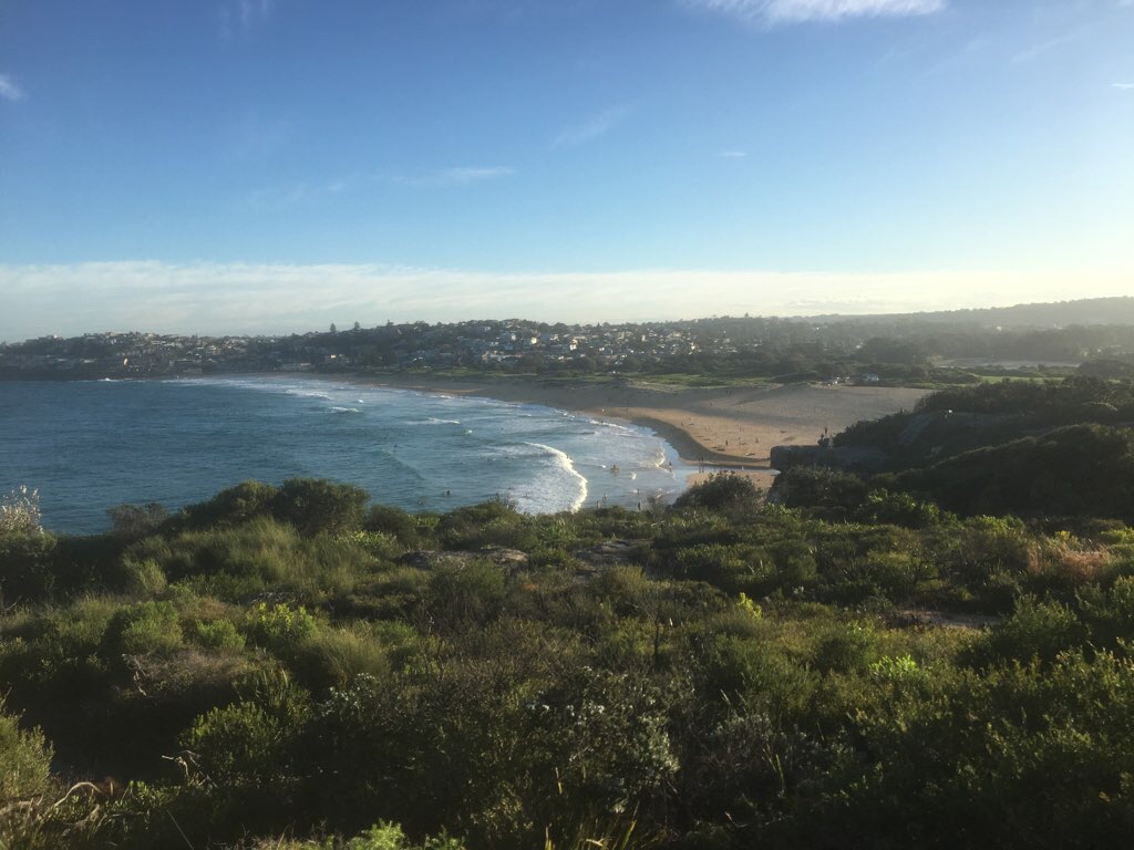 Dee Why Not?