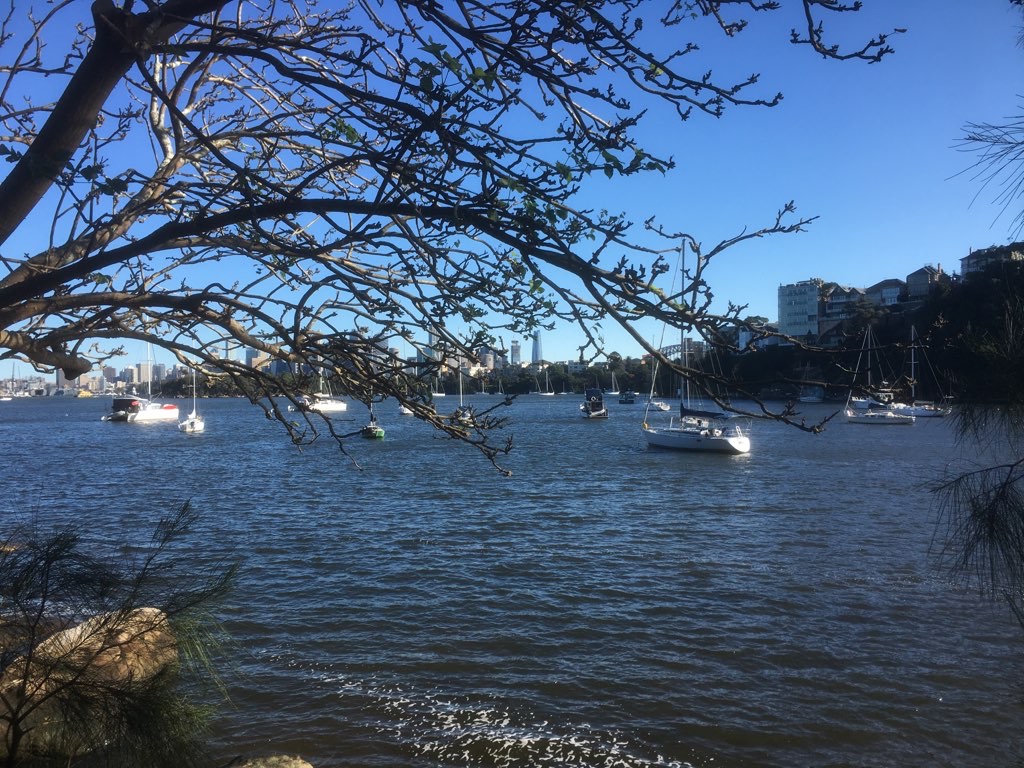 Mosman Miander