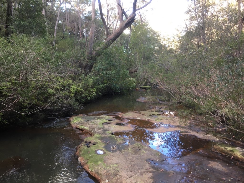 5 Mile Creek Trail