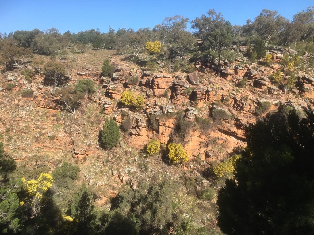 Jacks Creek Trail