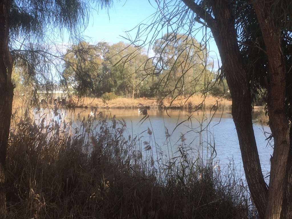 Mildura to Wentworth