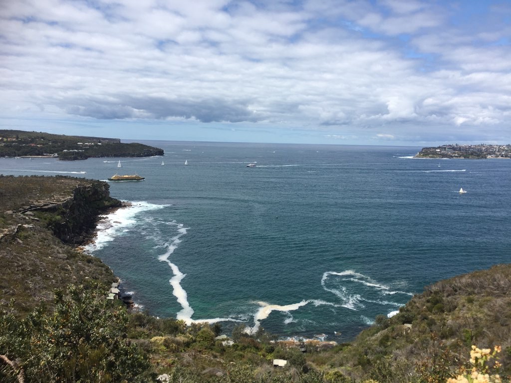 Tania Park to Spit Bridge