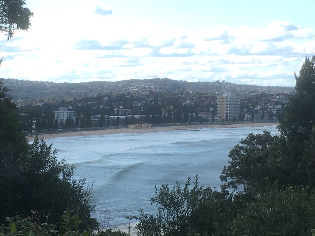 Manly Short Loop