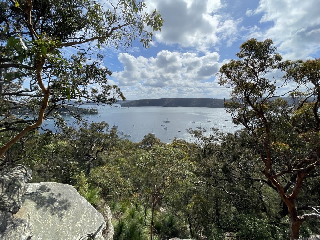 Whale Beach Loop