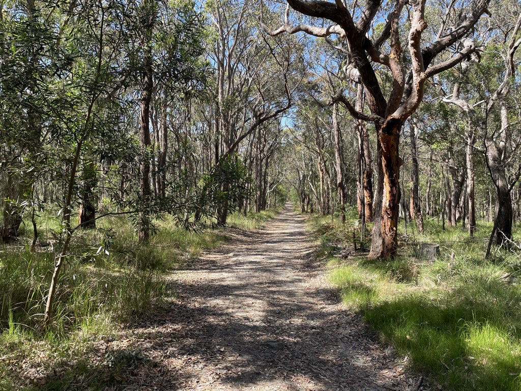 Darri Track Loop